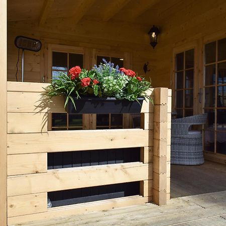 Pinewood Cabin Saline 外观 照片