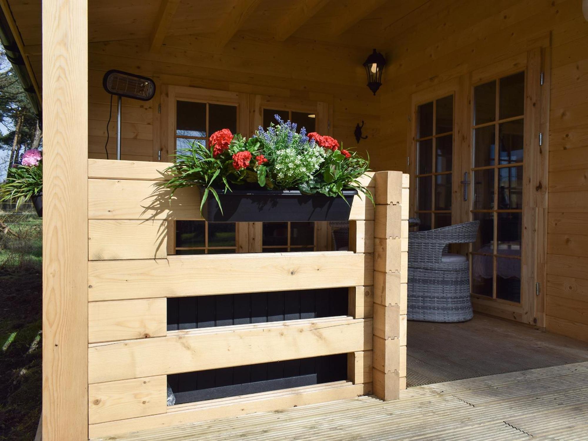 Pinewood Cabin Saline 外观 照片